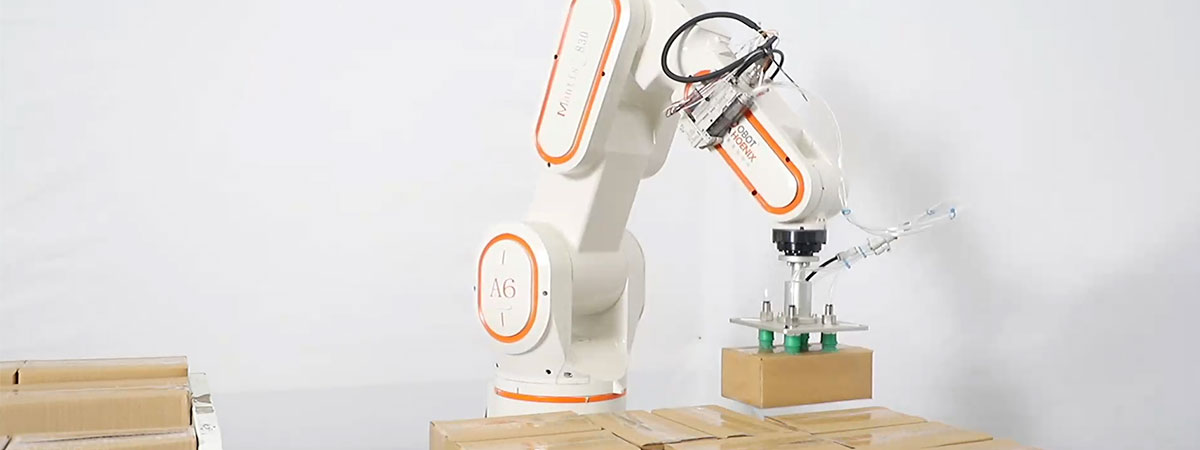 Comment choisir le bon système de palettisation de robot?